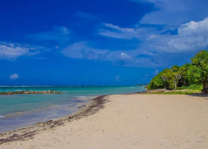Dreams At Seacastles Montego Bay